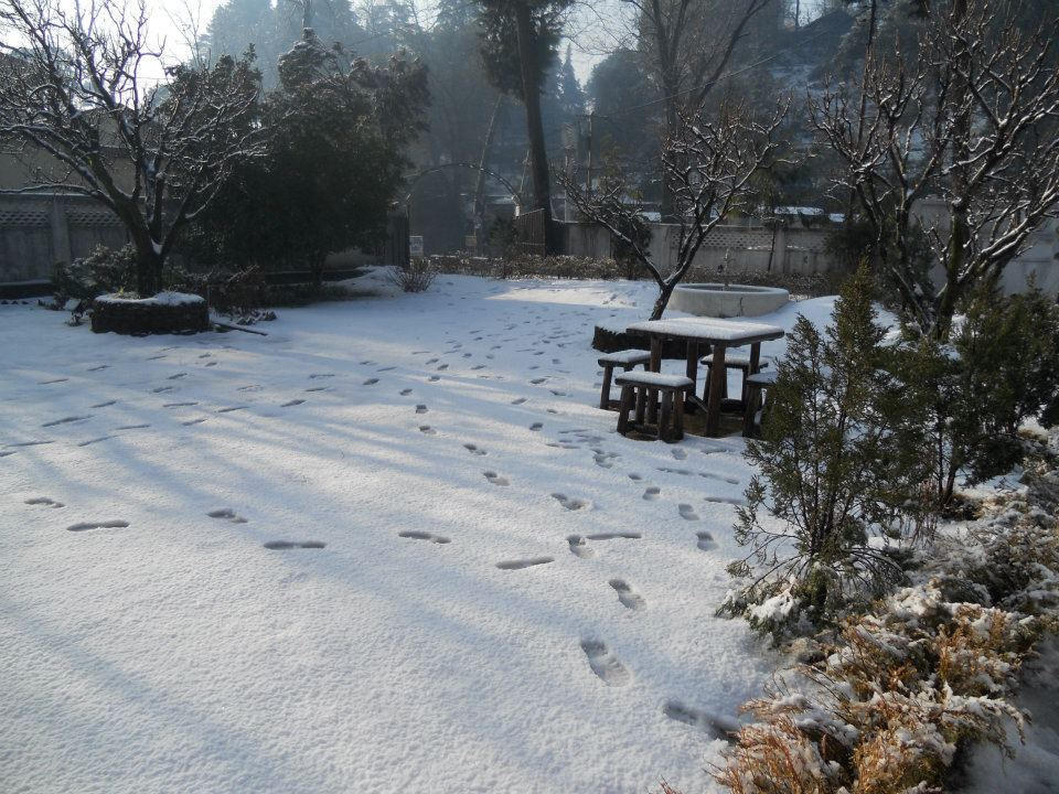 Rewa Retreat Hotel Nainital Luaran gambar